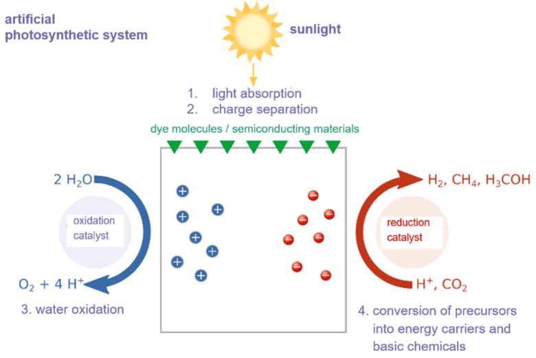 Artificial Photosynthesis In Chemical Edication | W. Tausch | Educación ...