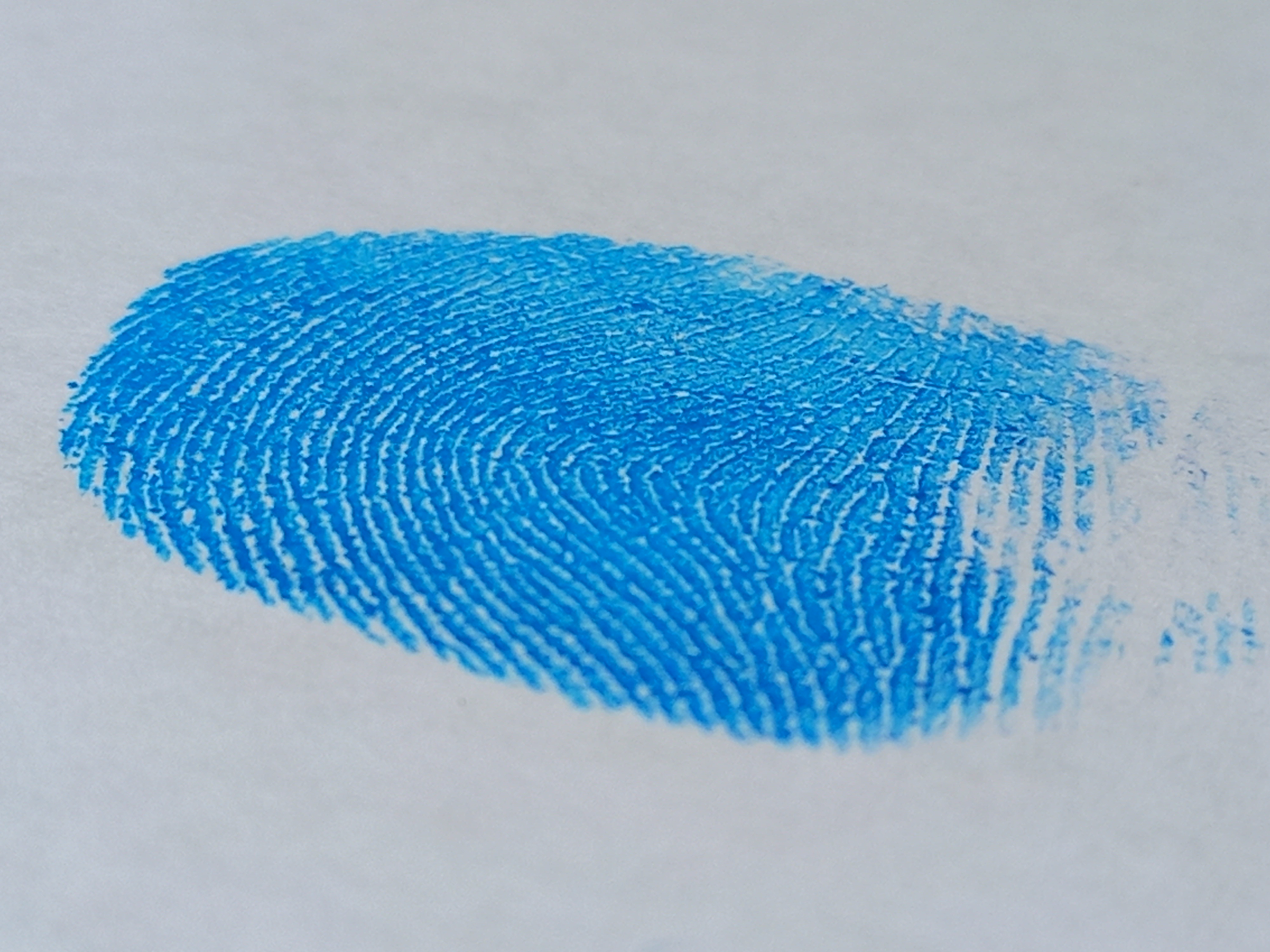 Imagen que contiene sombrero

Descripción generada automáticamente